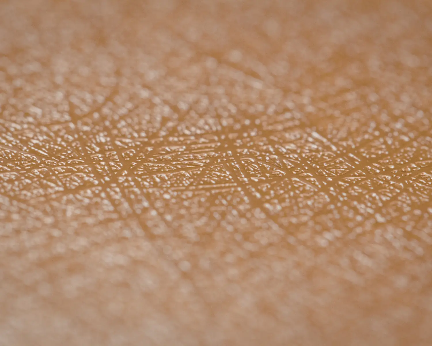 función barrera de la piel